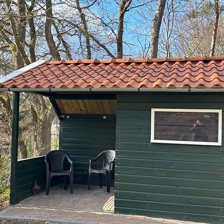 Vakantiehuis De Witte Bergen IJhorst Esterno foto