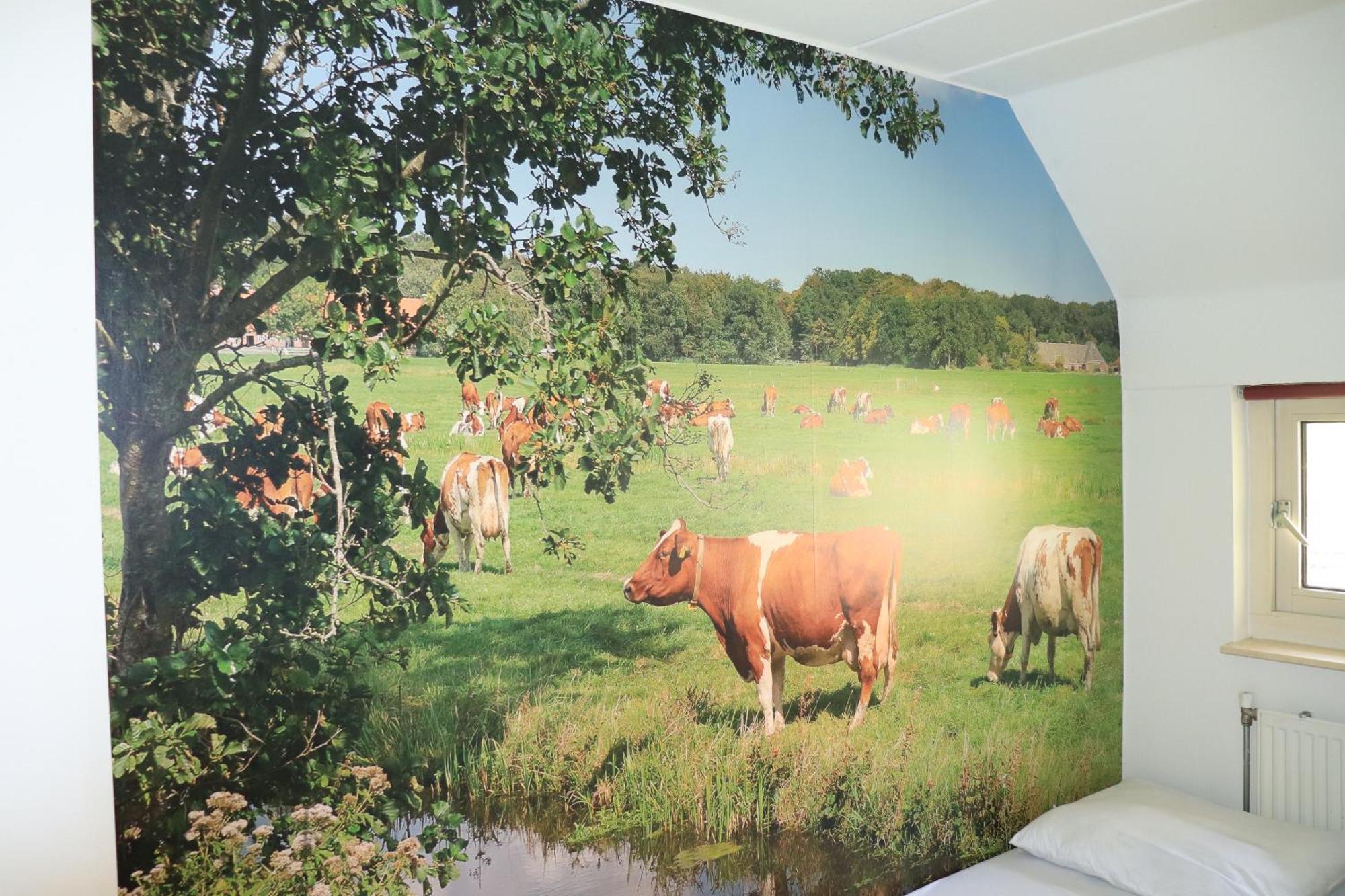 Vakantiehuis De Witte Bergen IJhorst Esterno foto